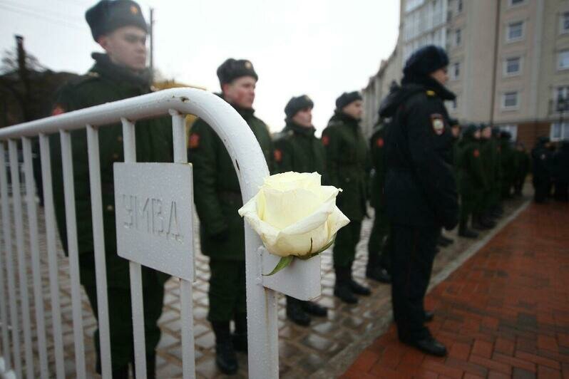 Фото Клопс.Ru. Автор: Александр Подгорчук