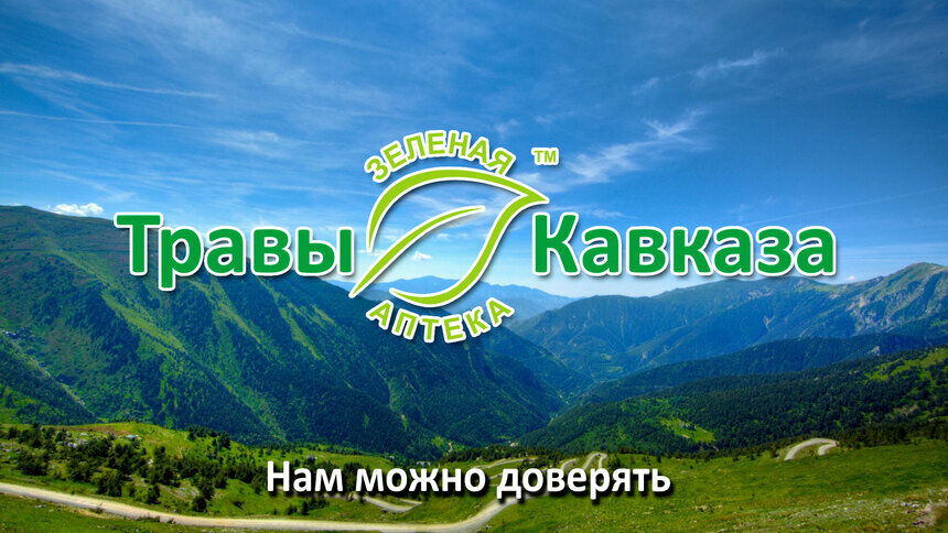 Травяные сборы помогут безболезненно пережить весну в Калининграде - Новости Калининграда