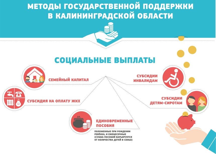 Субсидии и госпрограммы: на какую поддержку государства можно рассчитывать - Новости Калининграда