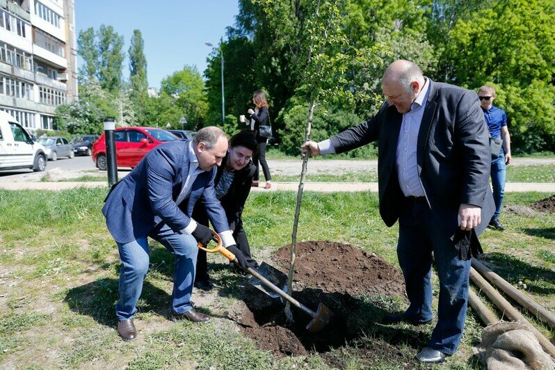 Калининградская торгово-промышленная палата подарила горожанам аллею с молодыми деревцами на набережной Трибуца - Новости Калининграда