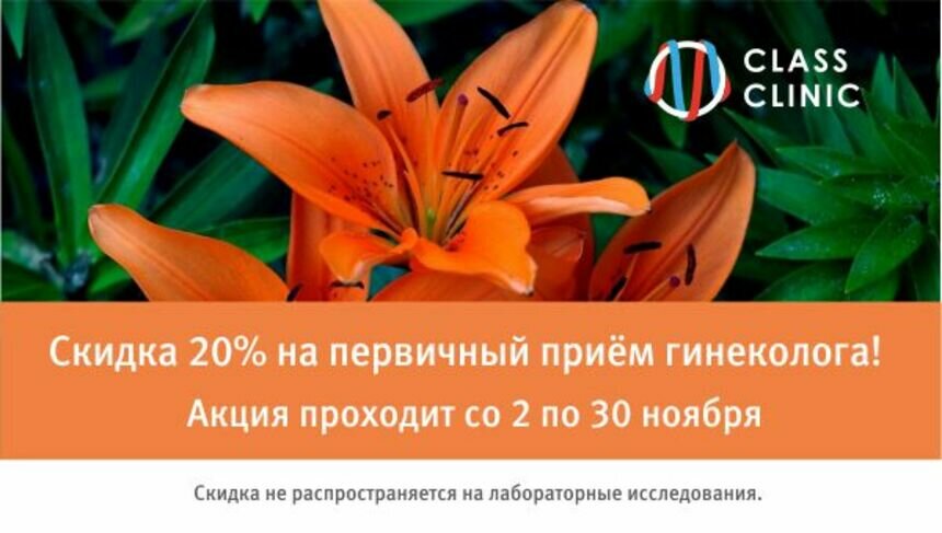 Скидка 20% на приём и обследование у гинеколога: акция в Калининграде проходит по 30 ноября! - Новости Калининграда