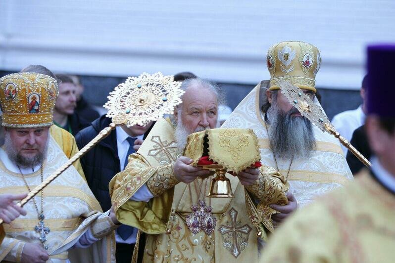 Фото Клопс.Ru. Автор: Александр Подгорчук