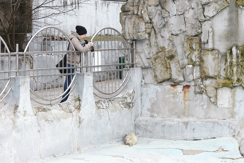 Фото Клопс.Ru. Автор: Александр Подгорчук