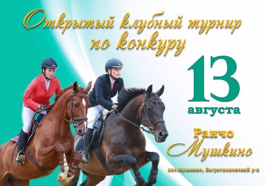 Почувствуй себя ковбоем: в Мушкино пройдёт Открытый Клубный турнир по конкуру - Новости Калининграда
