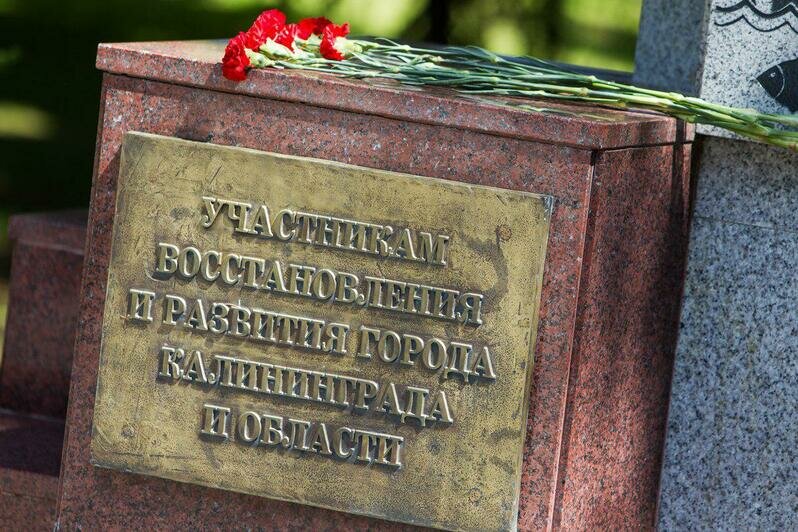Александр Подгорчук / Клопс.Ru