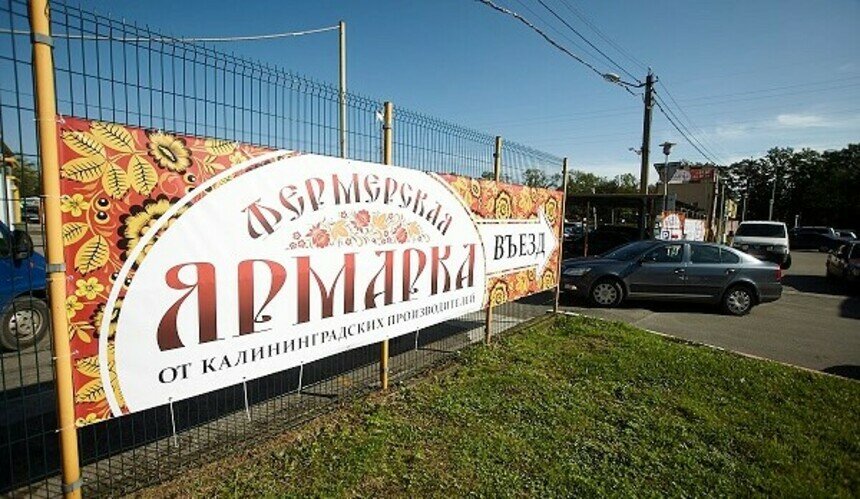 Достойная альтернатива для жителей Московского района: фермерская ярмарка на Тихорецкой работает каждые выходные - Новости Калининграда