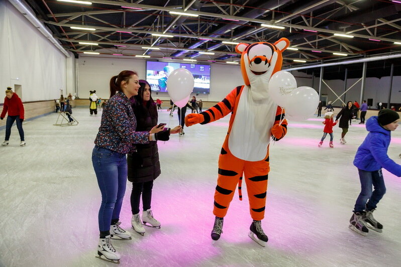 Календарь мероприятий в январе: как весело провести эти новогодние каникулы - Новости Калининграда