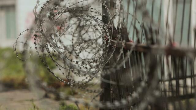 Во ФСИН России рассказали, как заключённые отмечают Новый год