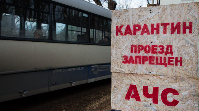 Россельхознадзор: Европа скрывает реальную ситуацию с АЧС