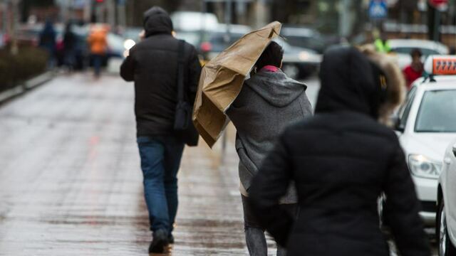 В начале следующей недели в Калининграде усилится ветер