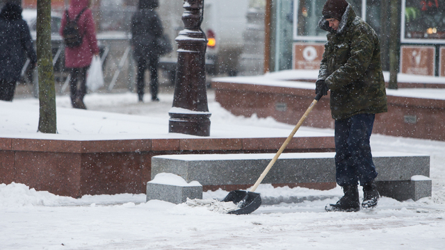 В Калининграде коммунальщики объявили о массовом наборе дворников на работу