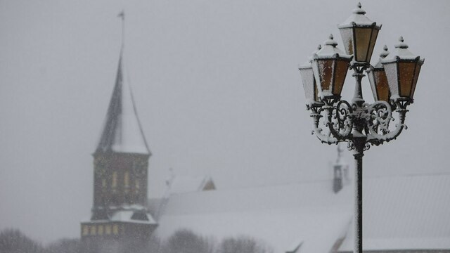 ИноСМИ: китайские туристы были разочарованы Калининградом, но затем он заставил их трепетать
