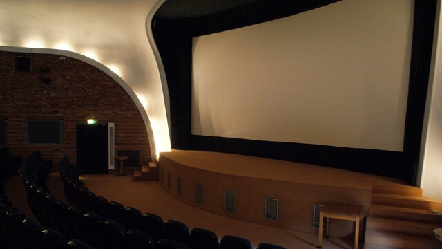 В Калининграде в очередной раз сломали памятник Вуди Аллену