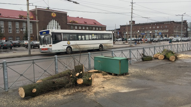 Очевидцы: возле 