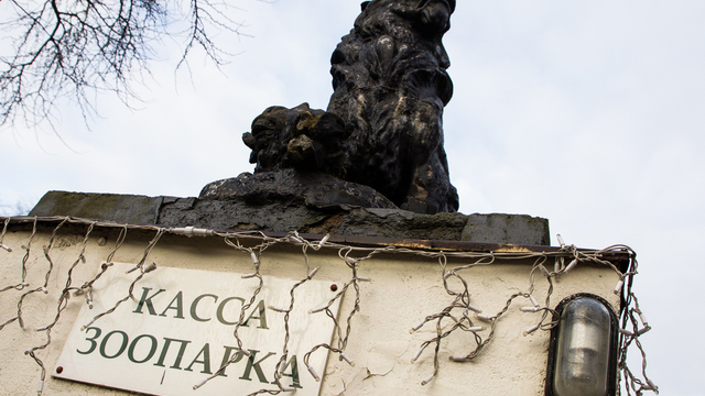 Калининградский зоопарк предлагает льготные билеты для влюблённых пар