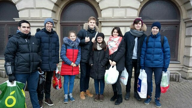 Калининградские школьники собрали корм, лекарства и бинты для кошек-инвалидов