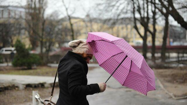 Во вторник ветер в Калининграде усилится до 21 м/с