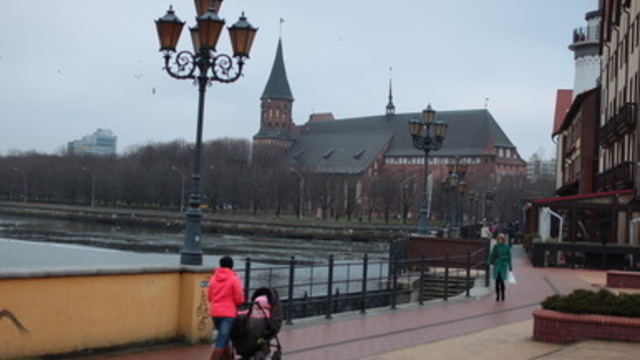 В Калининграде появился центр бесплатной юридической и психологической помощи семьям