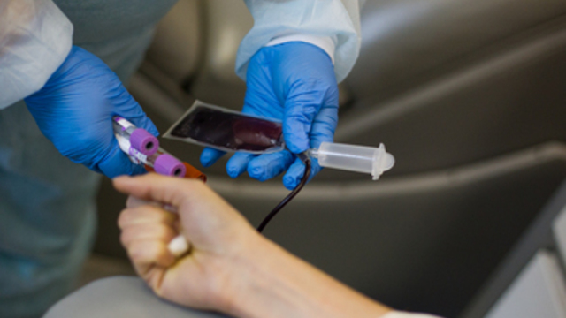 Калининградцам предлагают бесплатно проверить уровень сахара в крови