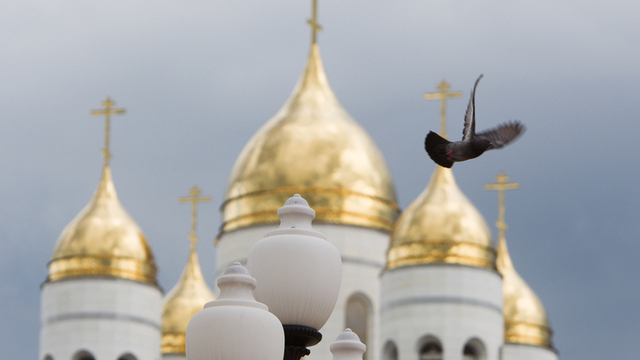 Опрос: более половины читателей 