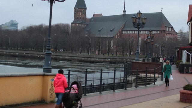 В Калининграде субсидии на покупку жилья в 2018 году получат в пять раз меньше молодых семей