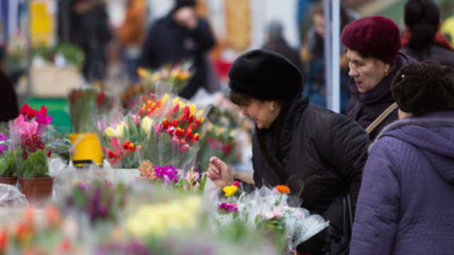 Перед Женским днём в Калининградскую область привезли более 7 млн цветов