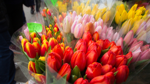 Роспотребнадзор выпустил рекомендации по выбору цветов к 8 Марта