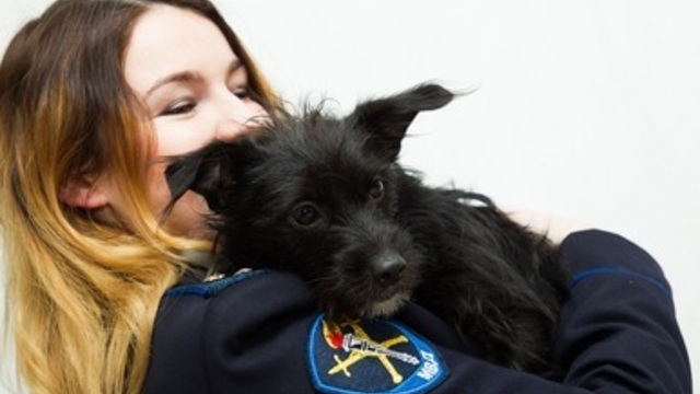 Курц, Масяня, Белка и восемь красавиц в погонах 