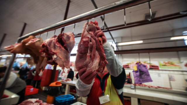 Россельхознадзор: из-за АЧС Калининградская область рискует потерять возможность обеспечивать себя свининой