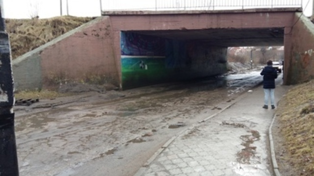 Алиханов: Чтобы отремонтировать дороги в Мамоново, сначала нужно расчистить завалы в коллекторах