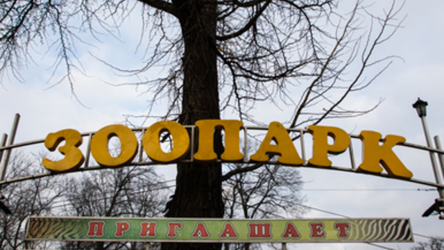 Вход в калининградский зоопарк с ул. Чайковского временно закроют из-за ремонта