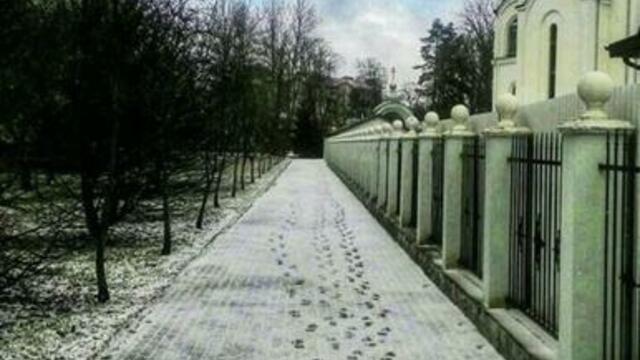 Выпал и исчез: калининградцы поделились фотографиями мартовского снега