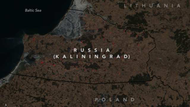 Снимок пала травы в Калининграде стал 