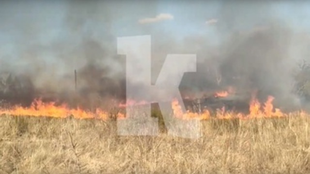 Очевидцы: в Мамоново огонь от пала травы вплотную подошёл к жилым домам (видео)