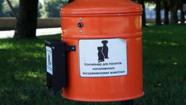 В Зеленоградске полиция будет отлавливать владельцев, не убирающих за собаками