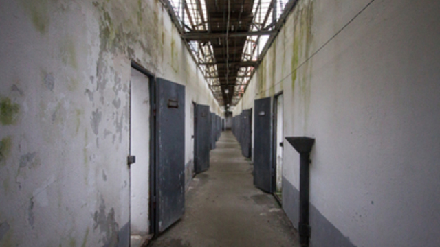 Жителю Советска грозит до 10 лет колонии за хранение наркотиков