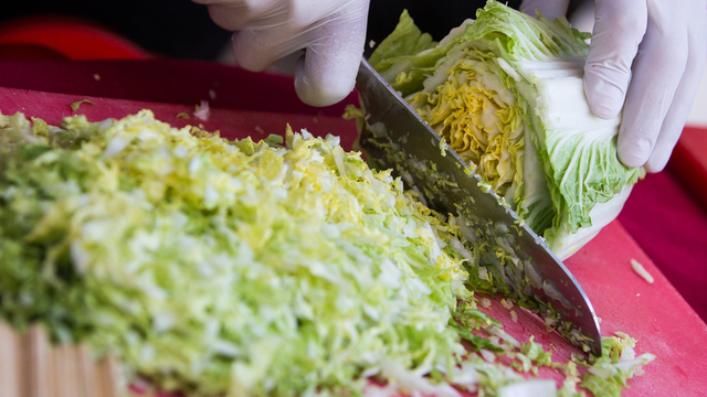 В Гданьске пройдёт двухдневный вегетарианский фестиваль