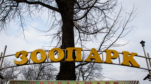 В Калининградском зоопарке центральный вход оборудуют двухметровым турникетом