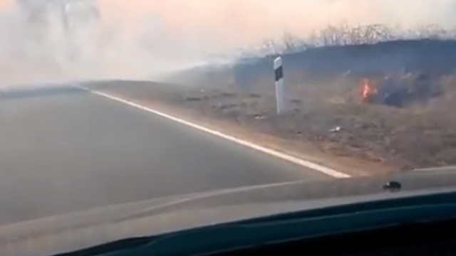 Очевидцы: из-за пала травы в районе Мамоново на дороге нулевая видимость (видео)