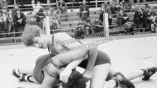 Калининградскую выставку о спорте включили в топ-10 культурных событий ЧМ-2018