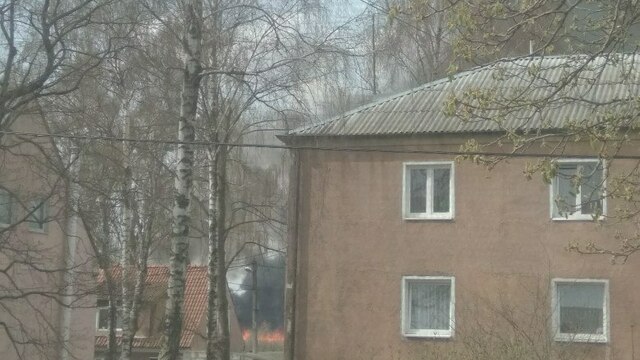 Очевидцы сообщили сразу о трёх палах травы в районе Калининграда (фото, видео)