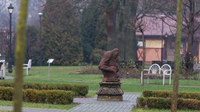 Дерево — ровесник динозавров: Калининградский зоопарк проведёт новую авторскую экскурсию