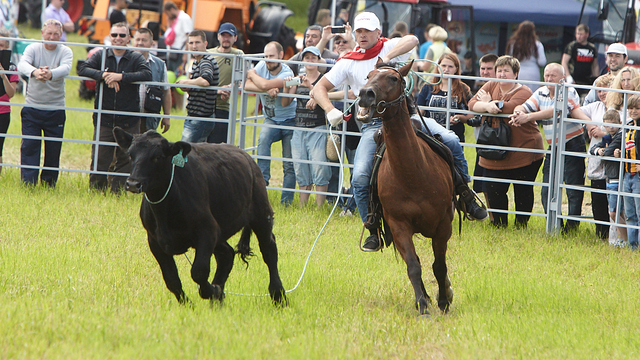 Родео и ярмарка мёда: в июле в Калининградской области пройдёт День балтийского поля — 2018