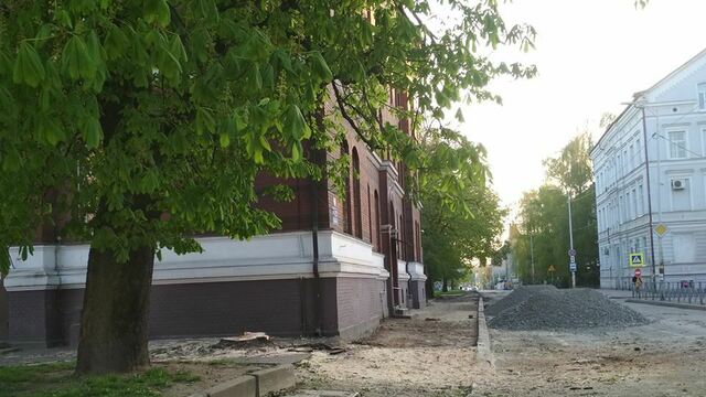 В Калининграде на ул. Фрунзе срубили вековой каштан