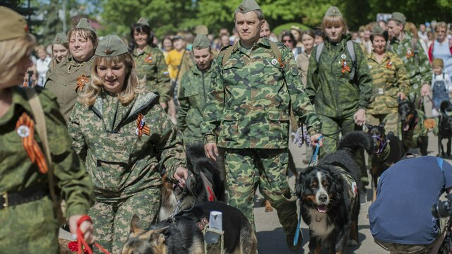 Четвероногие санитары и связисты: как прошло шествие 