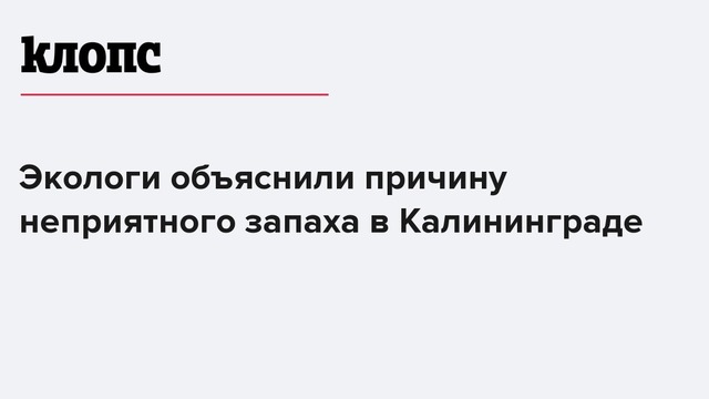 Экологи объяснили причину неприятного запаха в Калининграде