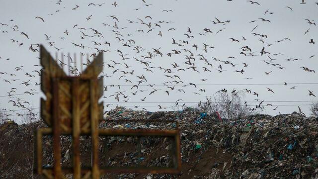 Прокуратура: выброс загрязняющих веществ на мусорном полигоне в Круглово превышает норму