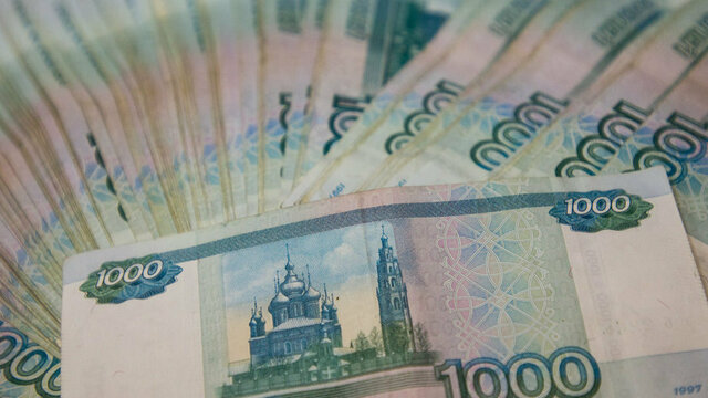 В Калининграде пятеро депутатов не стали отчитываться перед губернатором о доходах