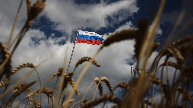Россия возобновила поставки пшеницы в Бразилию