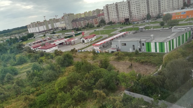 В Калининграде под строительство жилой многоэтажки вырубают яблоневый сад